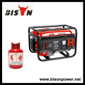 BISON (CHINA) Marca de fábrica Potencia de salida real LPG 4000Watts Generador del metano del biogás